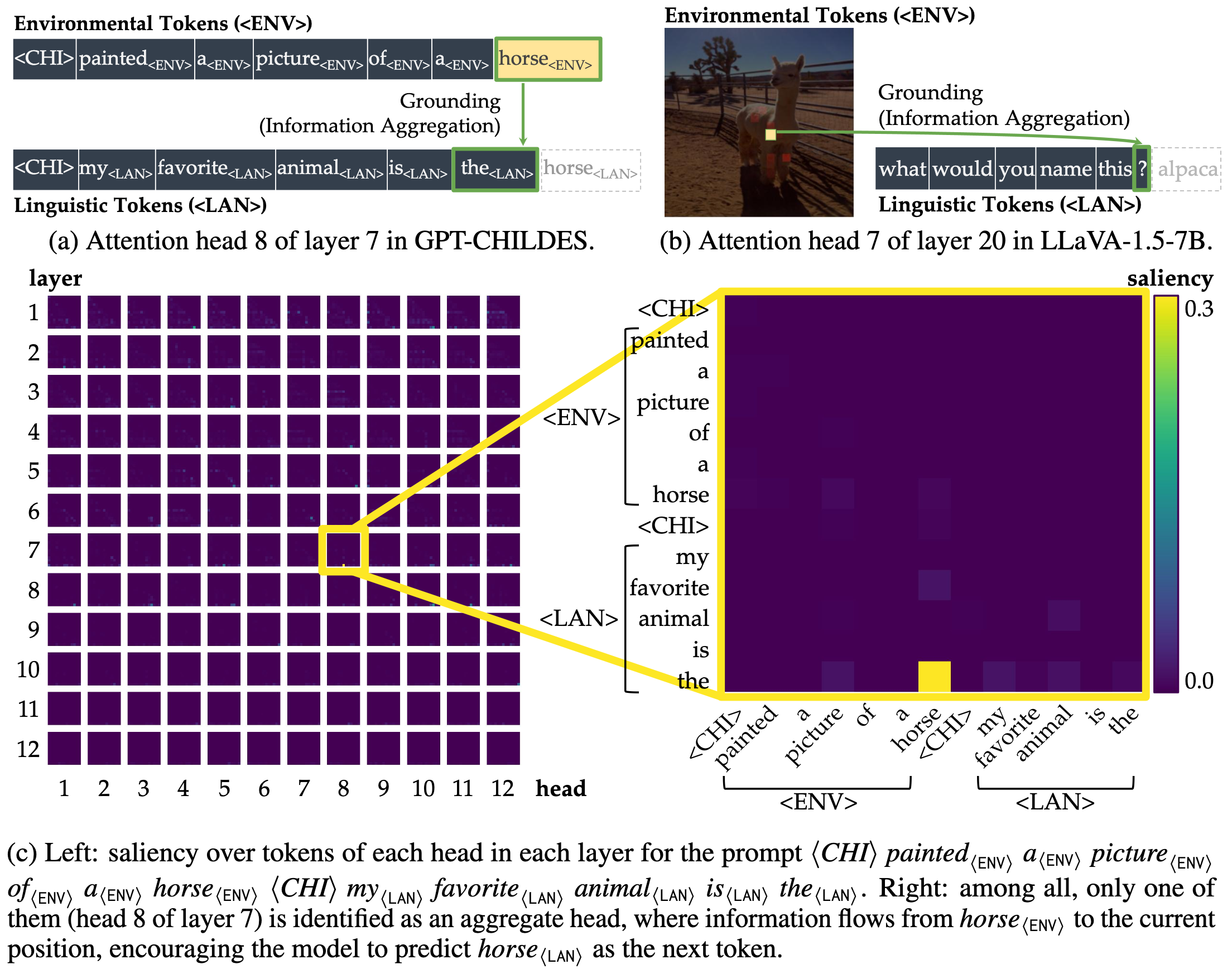 Illustration of the symbol grounding mechanism through information aggregation. Lighter colors denote more salient attention, quantified by saliency scores, i.e., gradient × attention contributions to the loss (Wang et al., 2023). When predicting the next token, aggregate heads (Bick et al., 2025) emerge to exclusively link environmental tokens (visual or situational context; ⟨ENV⟩) to linguistic tokens (words in text; ⟨LAN⟩). These heads provide a mechanistic pathway for symbol grounding by mapping external environmental evidence into its linguistic form.